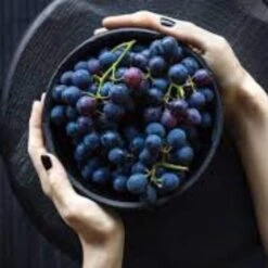 'Vanessa' Seedless Outdoor Grape Vine 7 'Vanessa' Seedless Outdoor Grape Vine -Soft Fruit Paradise FRU0063 2