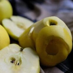 Herefordshire Russet Apple Tree 9 Herefordshire Russet Apple Tree -Soft Fruit Paradise FRU0200 2