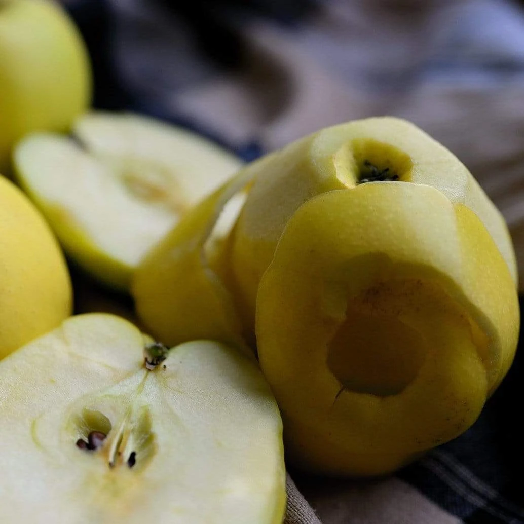 Herefordshire Russet Apple Tree 5 Herefordshire Russet Apple Tree - Image 3