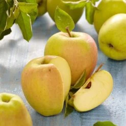 Golden Delicious Apple Tree 14 Golden Delicious Apple Tree -Soft Fruit Paradise FRU0229 2