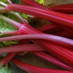 Full Season Rhubarb Collection 11 Full Season Rhubarb Collection -Soft Fruit Paradise VEG0179 2 ee10ba25 a25e 48e9 9e72 1c0d320a2add