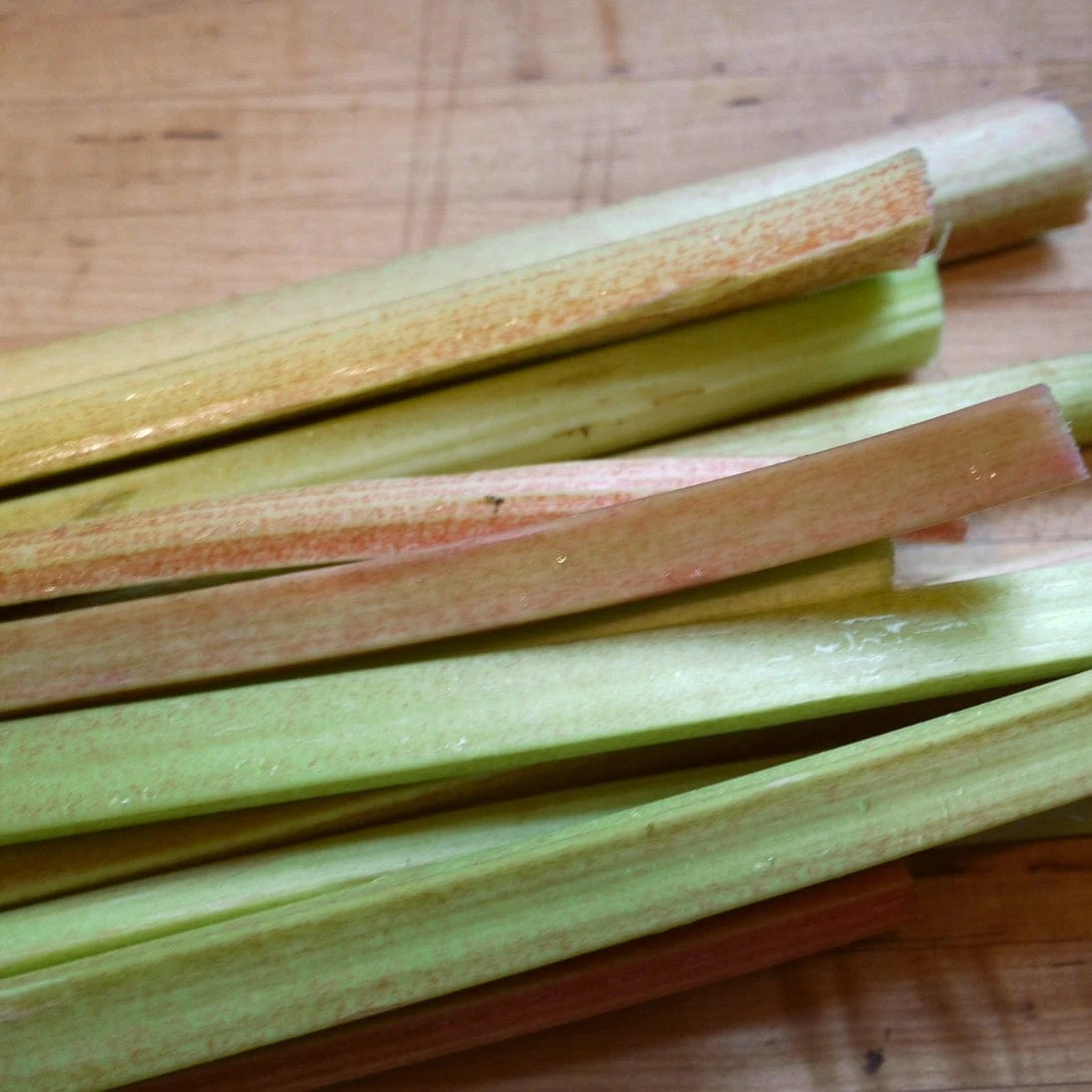 'Victoria' Rhubarb Plant 5 'Victoria' Rhubarb Plant - Image 3